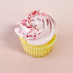 Lemon- Raspberry- Cupcake- by- Sweet- Traders 